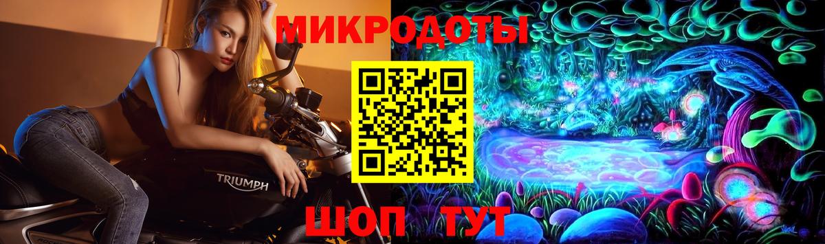 Галлюциногенные грибы GOLDEN TEACHER Новосибирск